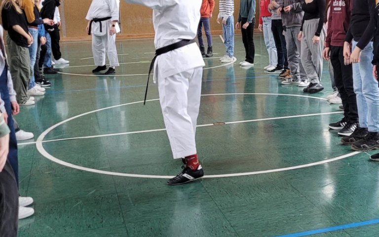 Teststunde Karate - weitere Bilder in der Galerie